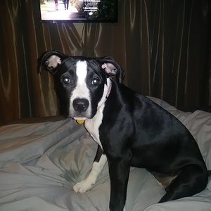 Meet your Posher, Vici